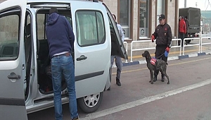 Bomba Aramasına "Vatos" desteği