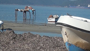 Deniz 20 metre çekildi