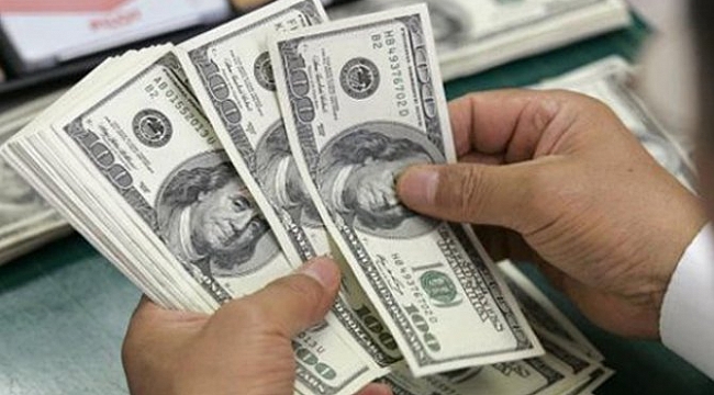 Dolar bozdurma kampanyasına destek