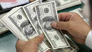 Dolar bozdurma kampanyasına destek