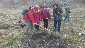 Öğrenciler Fidan Dikti