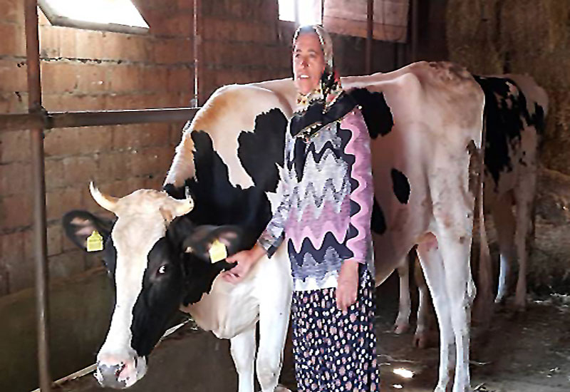 Orman ve Su İşleri Bakanlığı Çanakkalelilerin yüzünü güldürdü