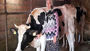 Orman ve Su İşleri Bakanlığı Çanakkalelilerin yüzünü güldürdü