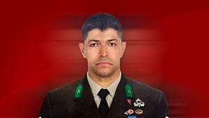 Şehit Ömer Halisdemir'in ismi Gestaş gemisine verilecek