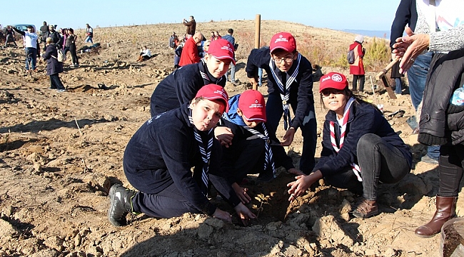 Yangın Bölgesini Yeşil Örtüyle Kapladılar