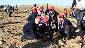 Yangın Bölgesini Yeşil Örtüyle Kapladılar