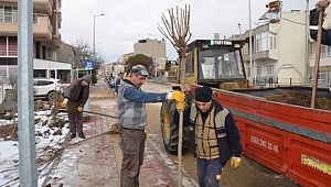 300 fidan daha toprakla buluşuyor