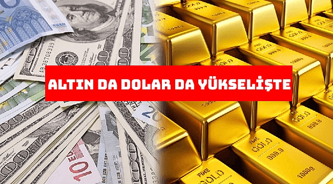 Altın, dolarla birlikte yükseliyor