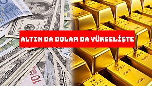 Altın, dolarla birlikte yükseliyor