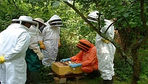 Bakanlıktan Orman Köylülerine Destek