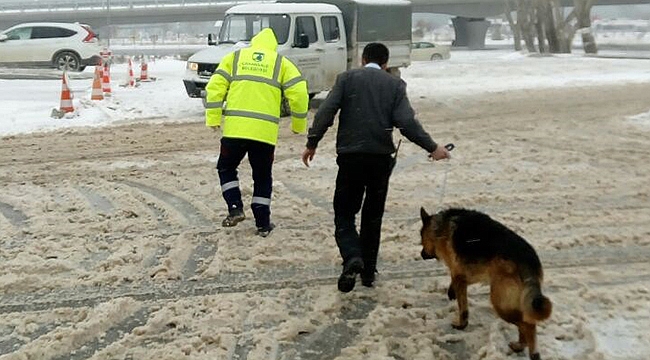 Çanakkale Belediyesi sokak hayvanlarına sahip çıktı