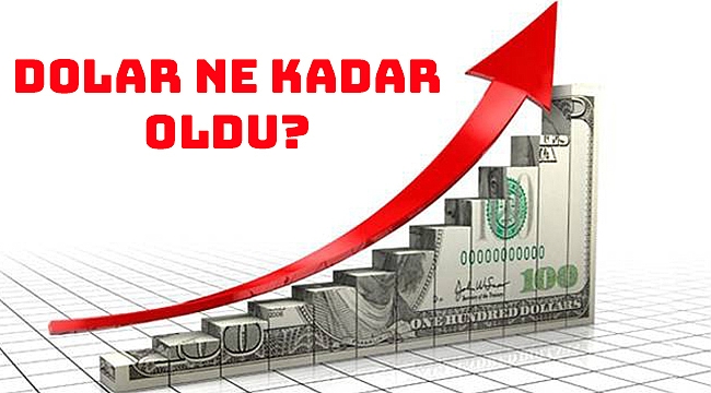 Dolar Yükseldi. Peki ne kadar oldu?