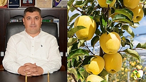 Mitolojik çağlardan bu yana yetiştirildi. Şimdi ise tescillendi.