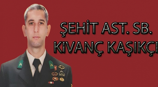 ŞEHİDİN VAR ÇANAKKALE!