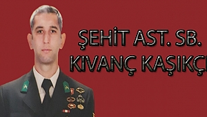 ŞEHİDİN VAR ÇANAKKALE!