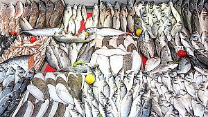 Tezgahlar Olta Balığına Kaldı