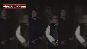 Yavru kediyi önce bantladılar sonra özür dilediler