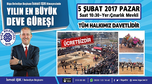 Yılın En büyük Deve Güreşi 5 Şubat'ta BİGA'da