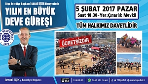 Yılın En büyük Deve Güreşi 5 Şubat'ta BİGA'da