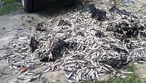 Çanakkale'de Kaçak Balık Avcılığı Yapanlara 2500 Lira Ceza Kesidi!