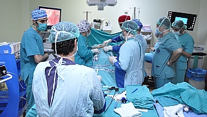 Çanakkale Devlet Hastanesi Ürolojik Laparoskopi Eğitiminde 2. Etap