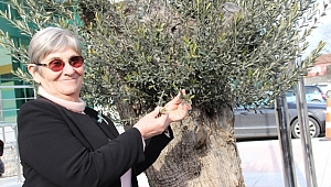 Canan Karatay'dan şeker uyarısı