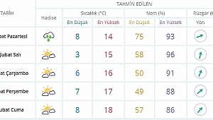 Cemrelerin Düşmeye Başlaması İle Hava Sıcaklıkları Artıyor