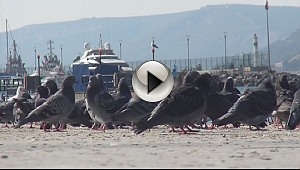 Güzel Hava Çanakkalelilerin İçini Isıttı