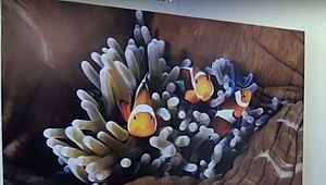 Mavi Dünyam Sanatseveler ile Buluştu