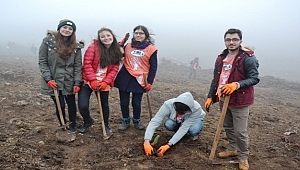 Biga'da 6 bin fidan toprakla buluştu