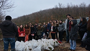Biga Genç TEMA Topluluğu fidan dikti