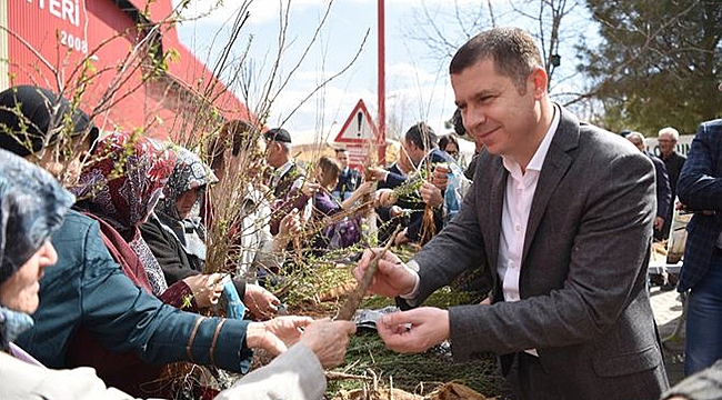 Çan'da binlerce fidan dağıtıldı