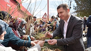 Çan'da binlerce fidan dağıtıldı