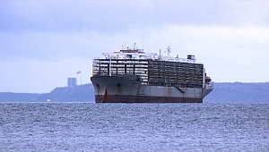 Çanakkale Boğazı'nda arızalanan gemi güvenli bölgeye çekildi