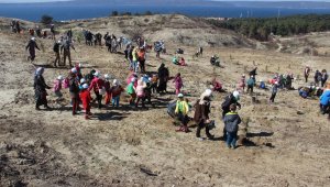 Çanakkale'de "15 Temmuz Demokrasi Şehitleri Hatıra Ormanı" oluşturuldu