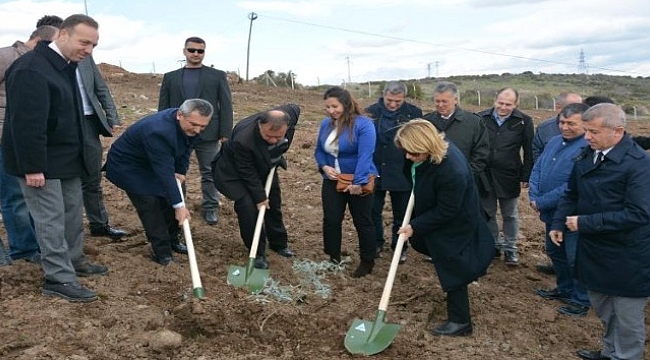 Ezine MYO'dan 25. Yıl Hatıra Ormanı