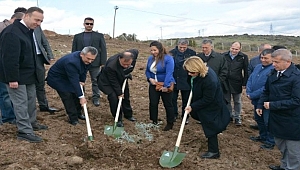 Ezine MYO'dan 25. Yıl Hatıra Ormanı