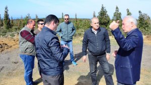 Lapseki'de doğalgaz çalışmaları sürüyor