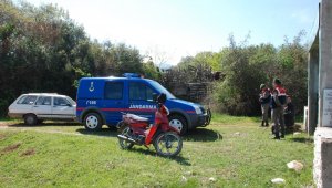 Ağıldan koyunlar çalındı