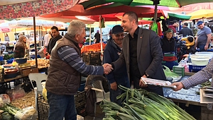 Altınok fırtınası