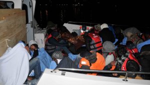 Ayvacık'ta 41 kaçak yakalandı