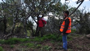Başkan Şahin, Antep fıstığı üreticilerine sahip çıktı