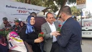 Biga'da 4 bin adet çiçek dağıtıldı