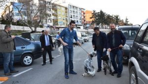 Biga'da av köpekleri aşılandı