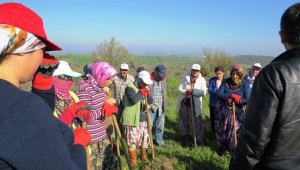 Biga'da İŞKUR işçileri işe başladı