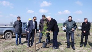 Çan'da eski kömür madeni sahası ıslah edildi