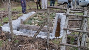 Çanakkale'de çam kese böceği mücadelesi sürüyor