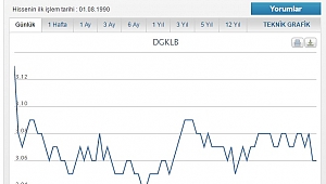 Doğtaş Kelebek Hisse Değerini 100 Trilyon Daha Arttırdı.