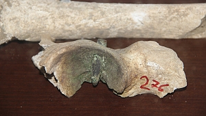 Milyonda bir ihtimalin gerçek olduğu savaş