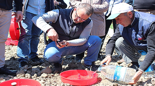 Tuta Tuzakları araziye dağıtıldı